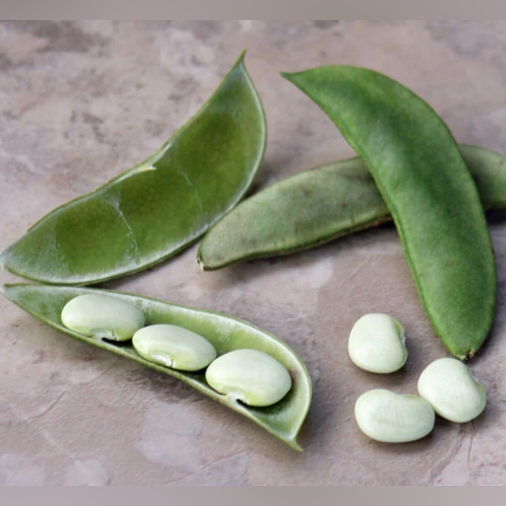 “Triple Pearl Pod Edamame” Lima Fava Mung Kidney Garbanzo Green Bean Veggie Stud - Picture 4 of 6